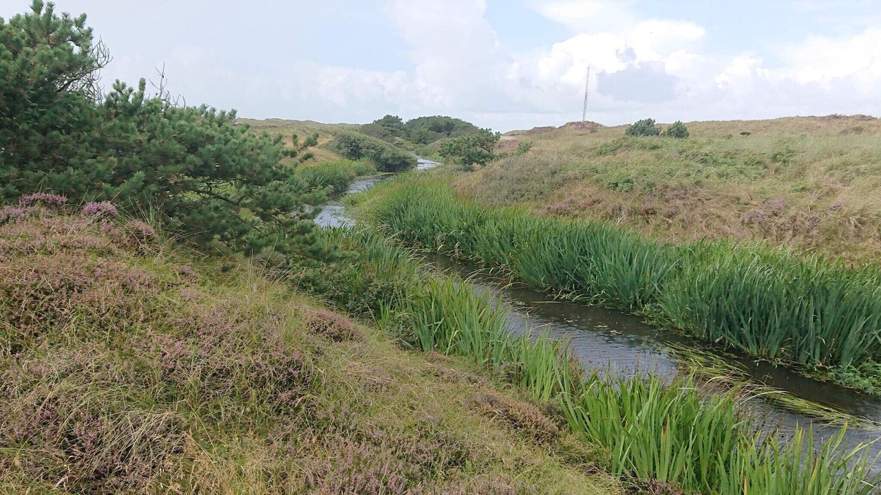 Photo of Others in Grærup Strand