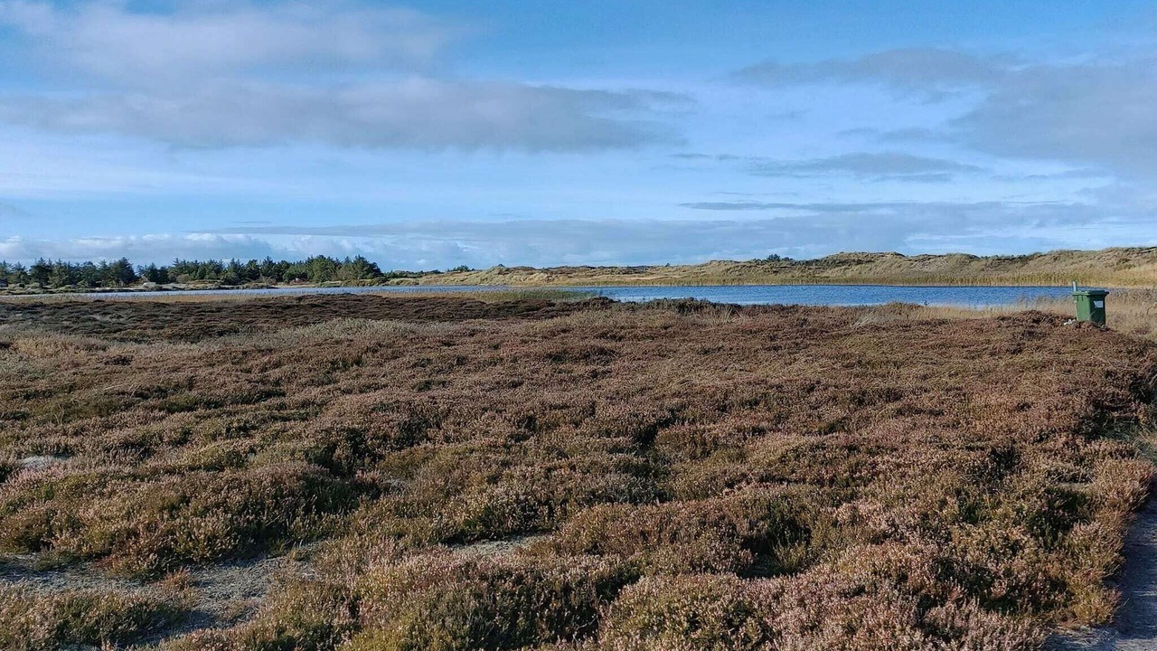 Photo of Others in Grærup Strand