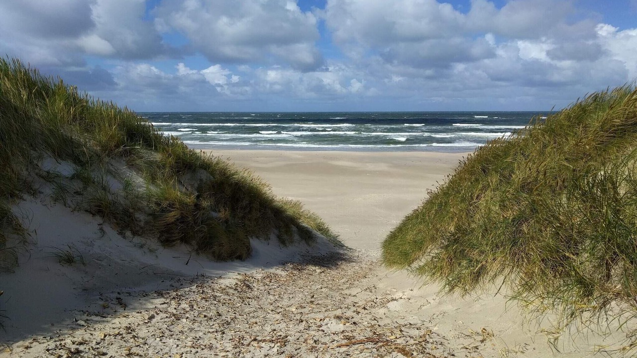 Photo of Others in Grærup Strand