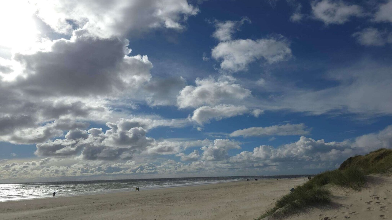 Photo of Others in Blavand