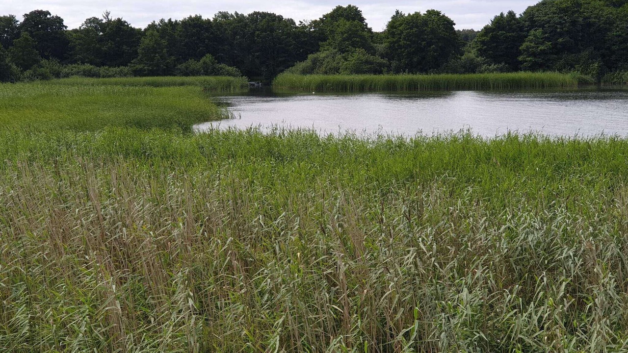 Photo of Others in Øksenmølle