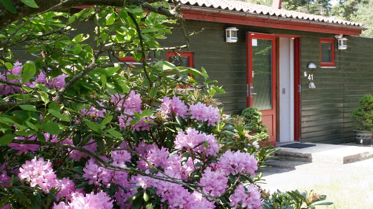 Photo of Outdoor in Skanderborg