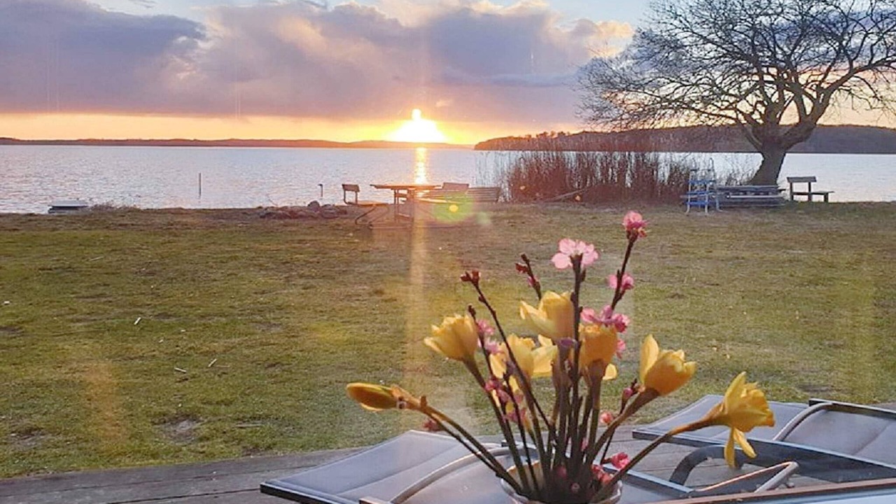 Photo of Others in Skanderborg