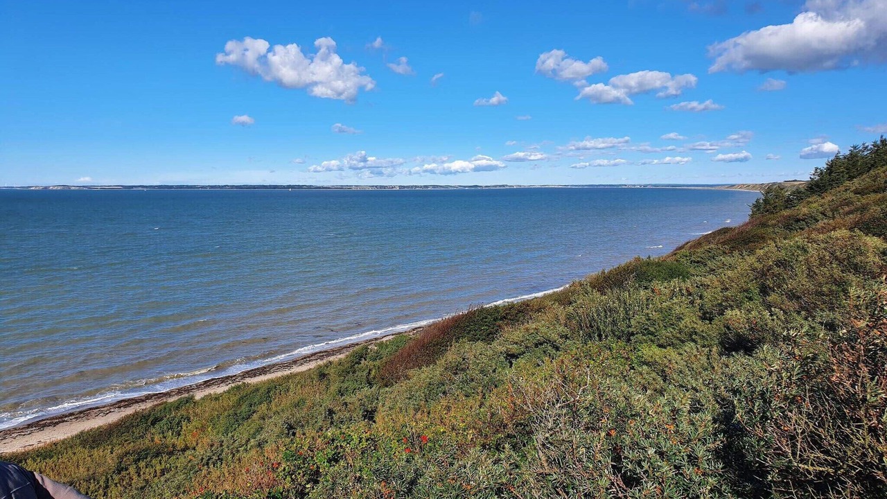 Photo of Others in Remmer Strand