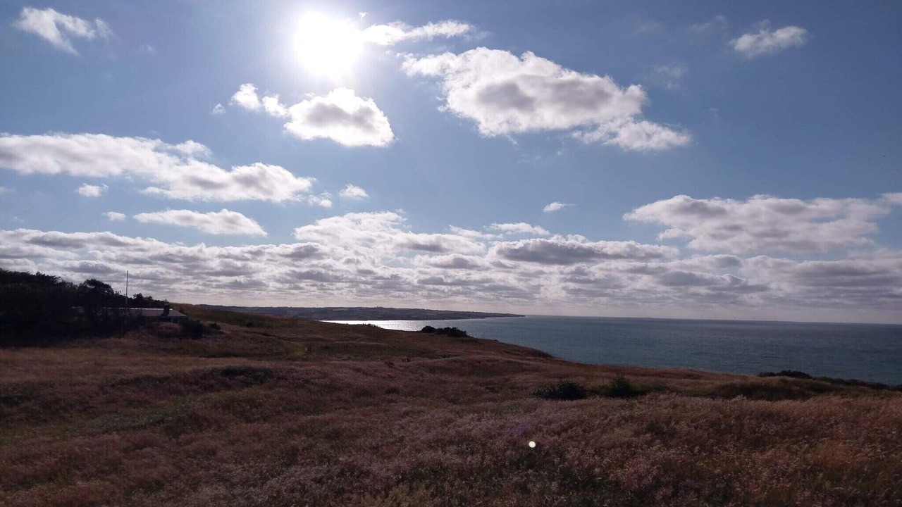 Photo of Others in Remmer Strand