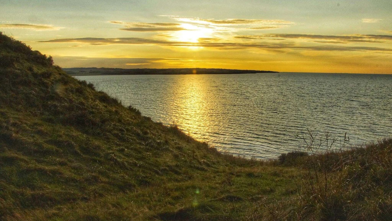 Photo of Others in Remmer Strand