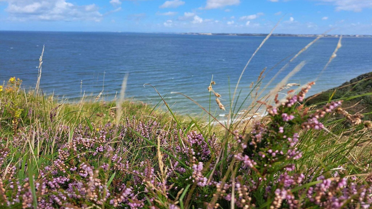 Photo of Others in Remmer Strand