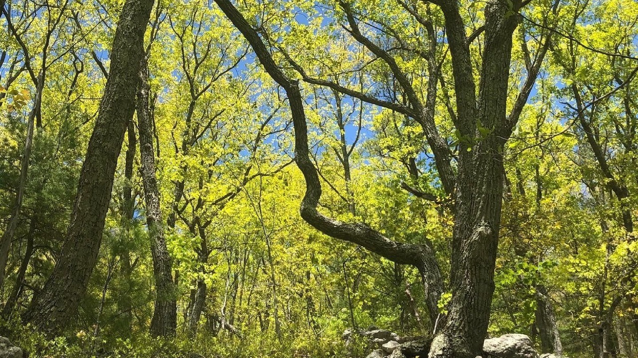 Photo of Outdoor in Gap Mills