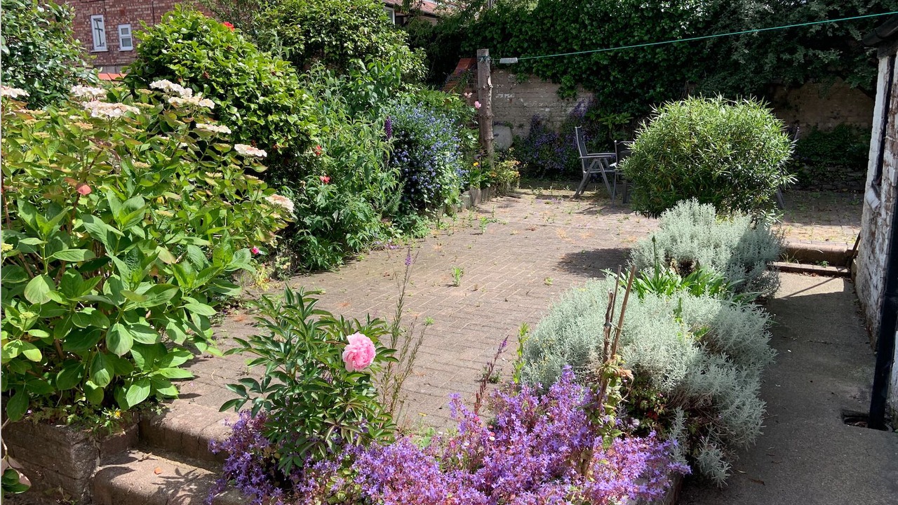 Photo of Outdoor in New Brighton