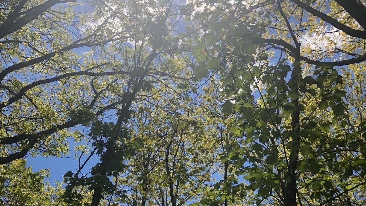 Photo of Others in Gap Mills