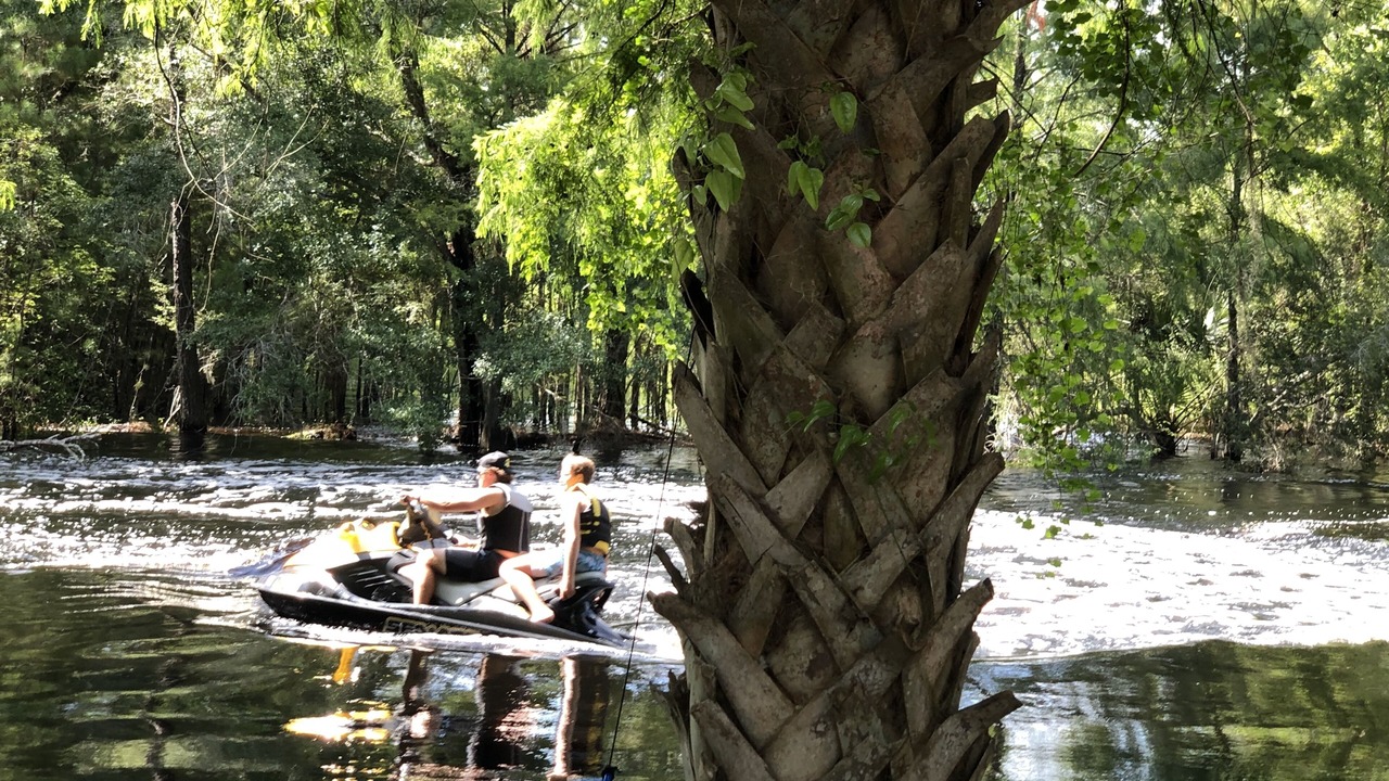 Photo of Others in Dunnellon