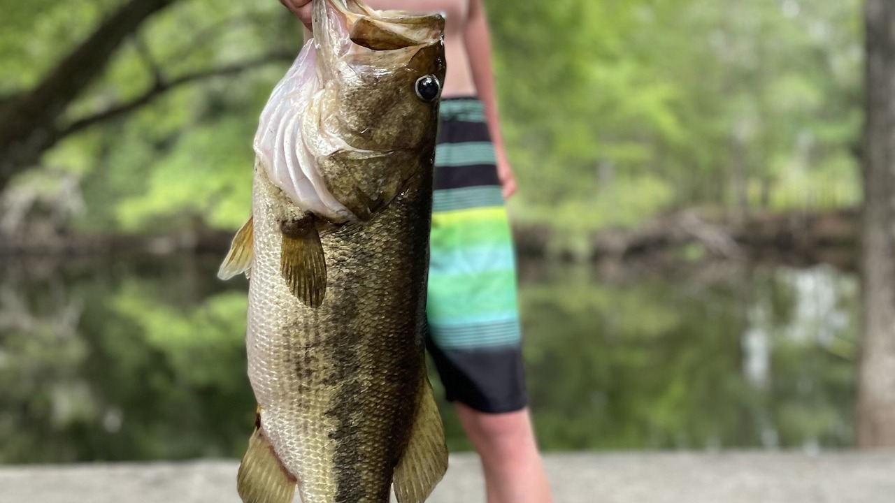 Photo of Others in Dunnellon