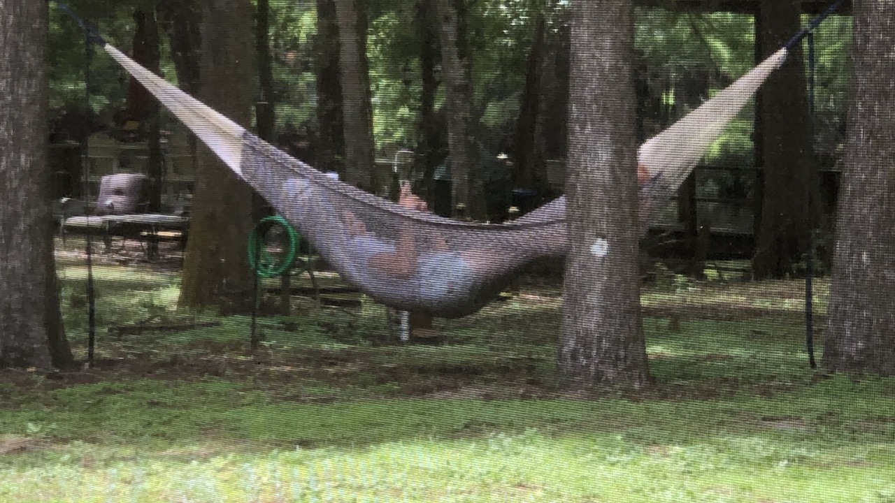 Photo of Outdoor in Dunnellon