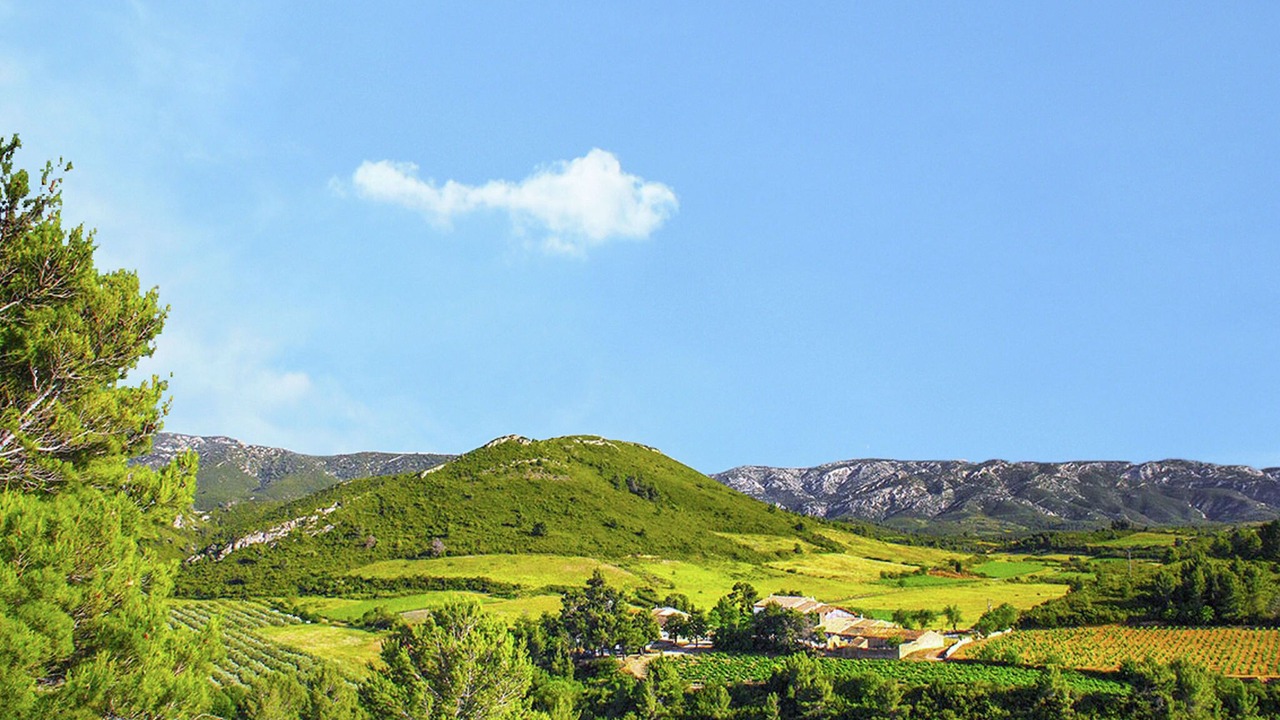 Photo of Others in Villeseque-des-Corbieres