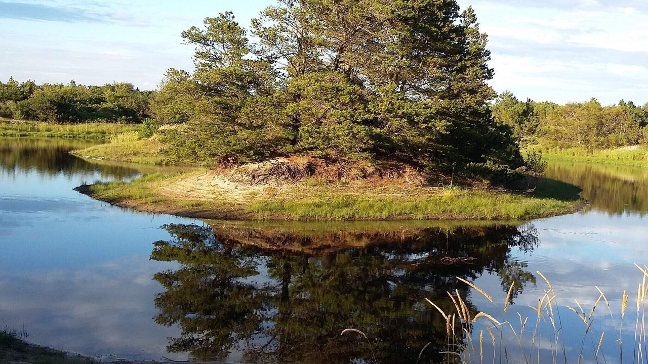 Photo of Others in Aalbaek
