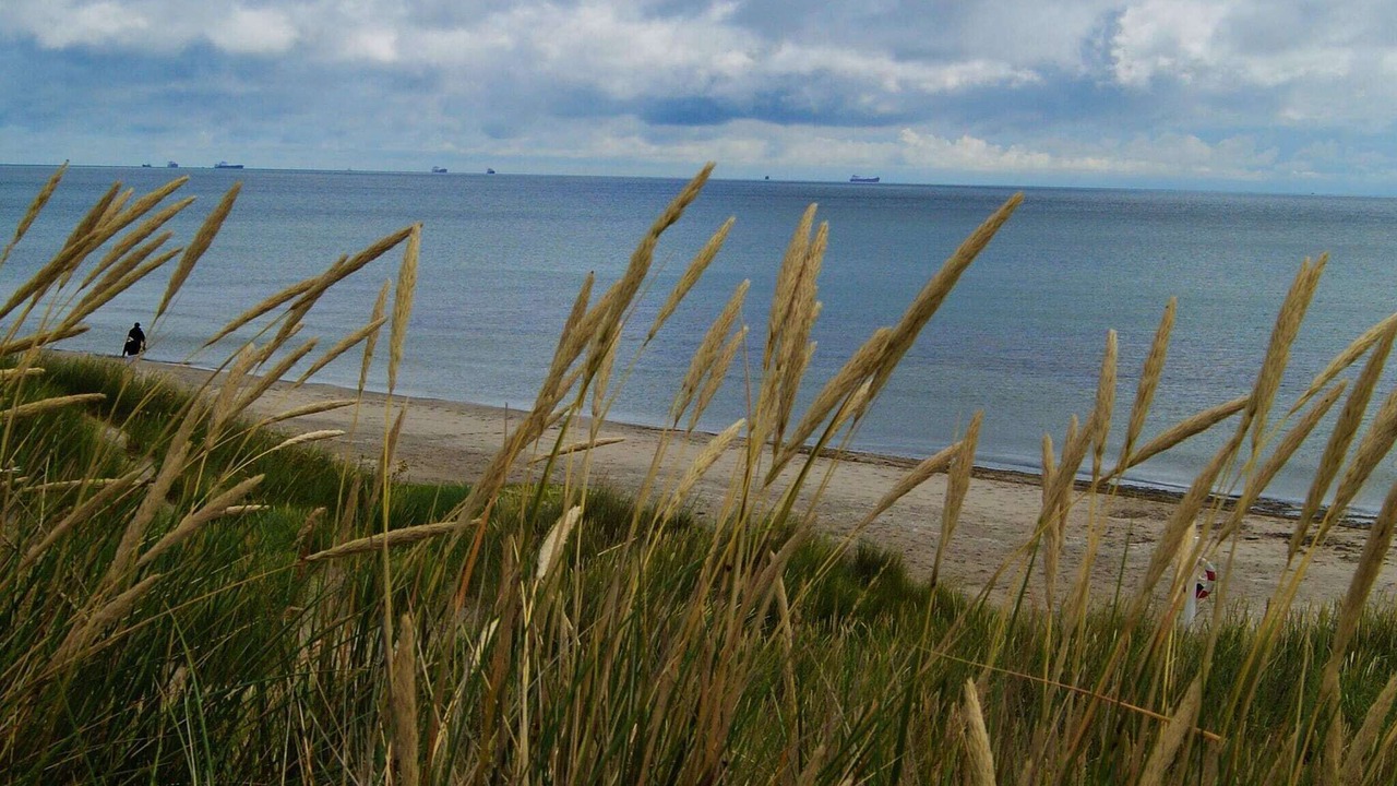 Photo of Others in Aalbaek