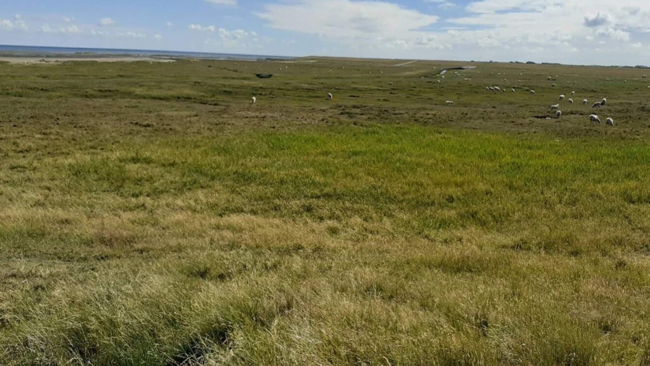 Photo of Others in Sønderstrand