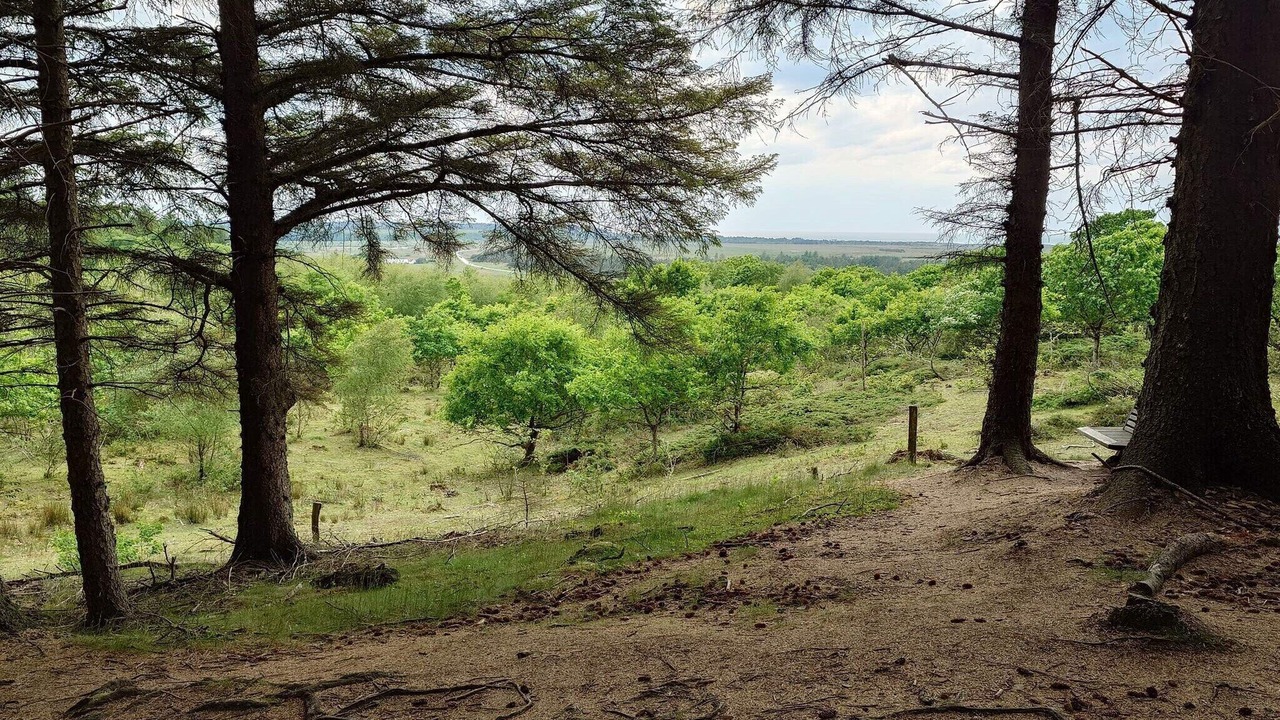 Photo of Others in Brovst