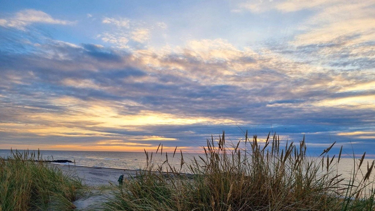 Photo of Others in Skagen