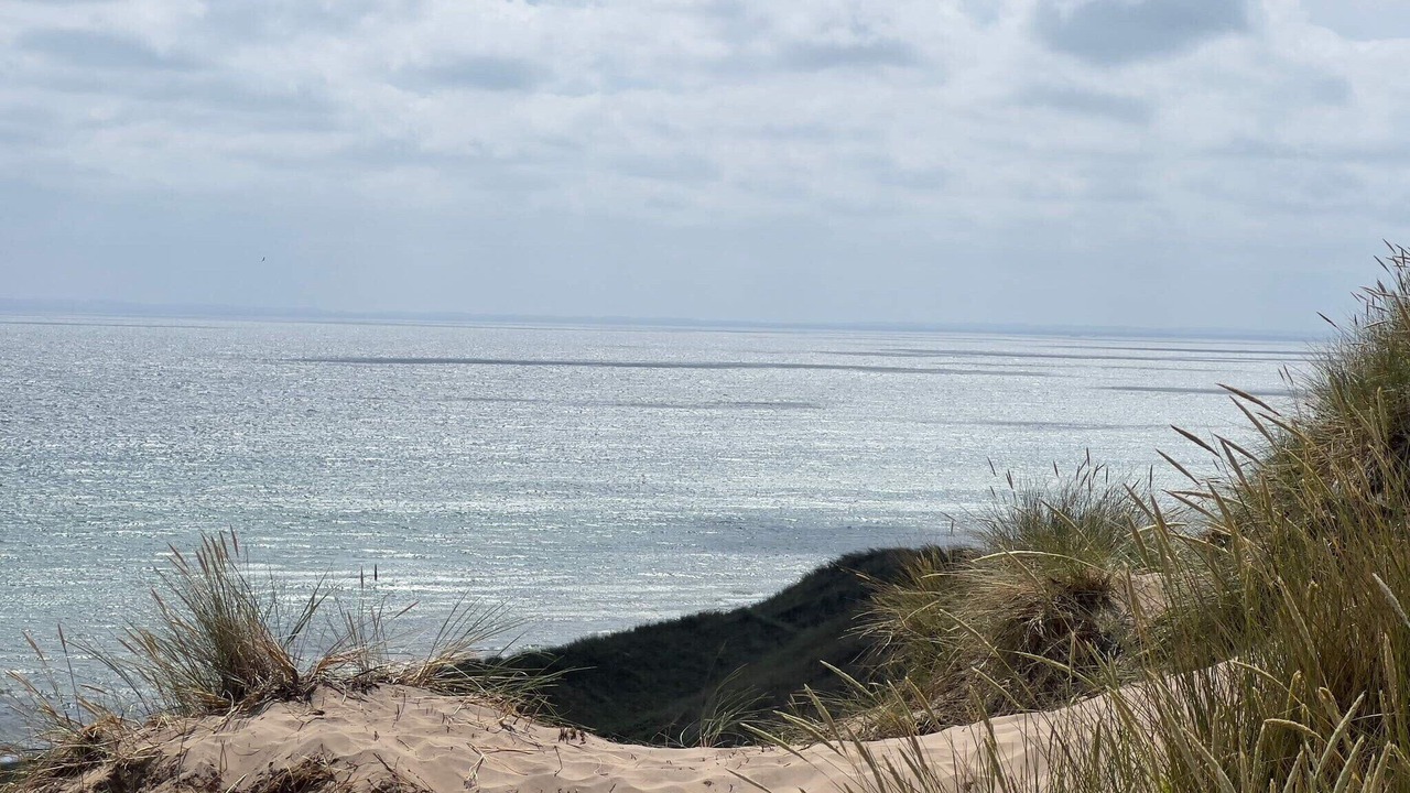 Photo of Others in Skagen