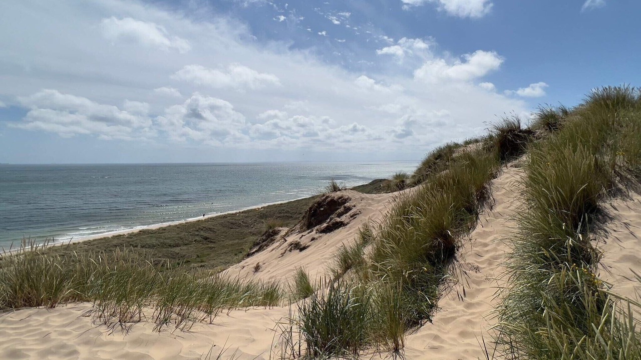 Photo of Others in Skagen