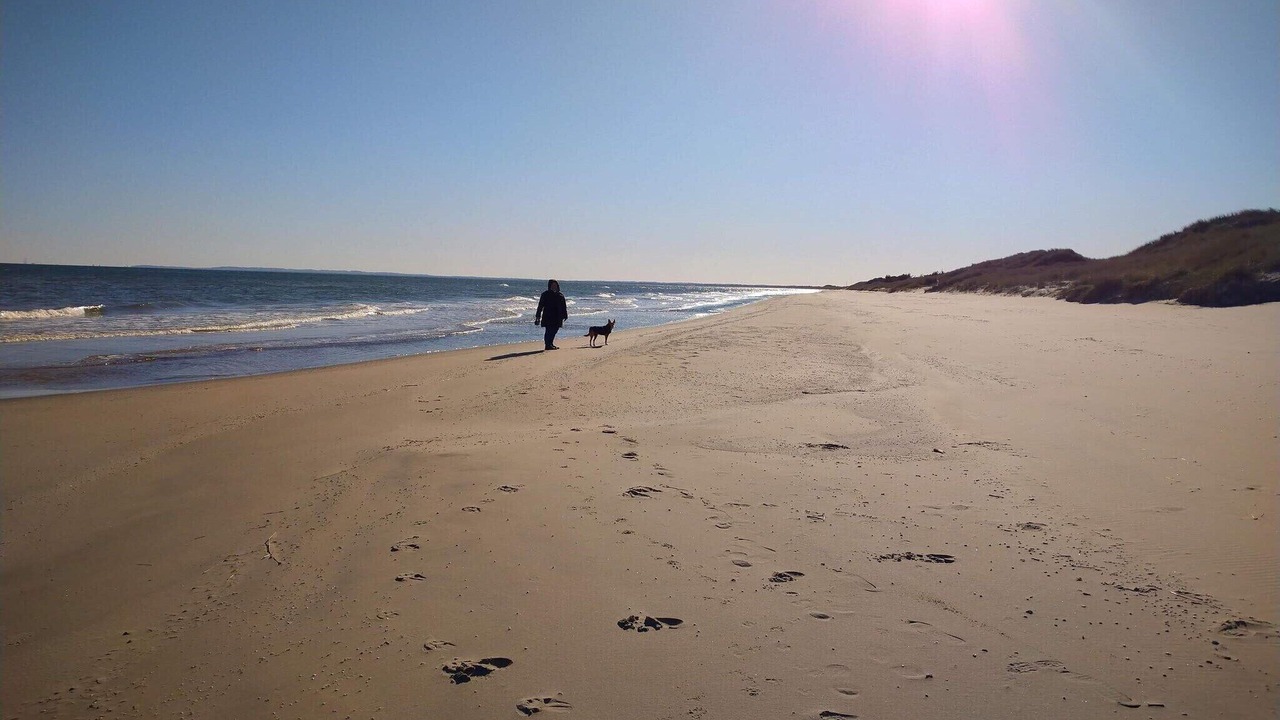Photo of Others in Skagen