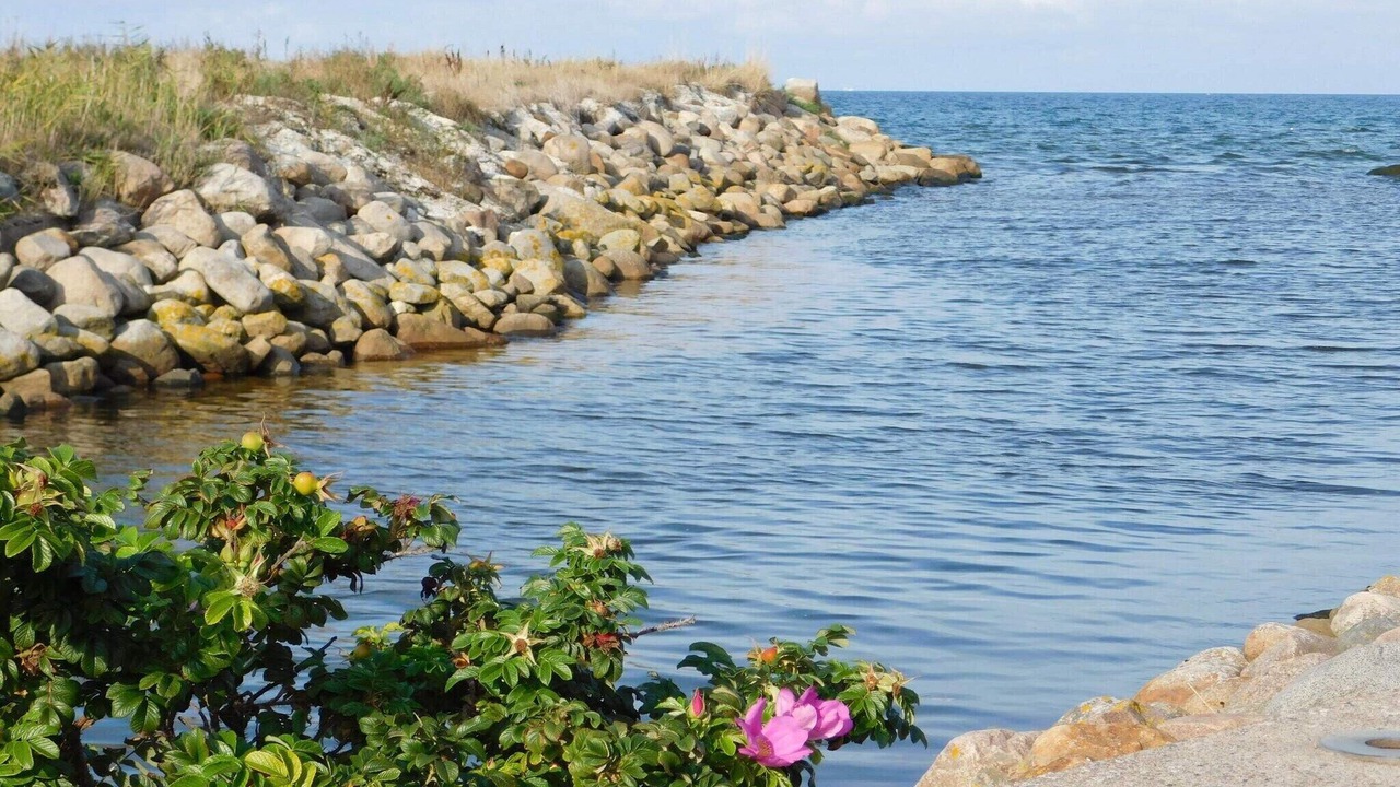 Photo of Others in Sæby