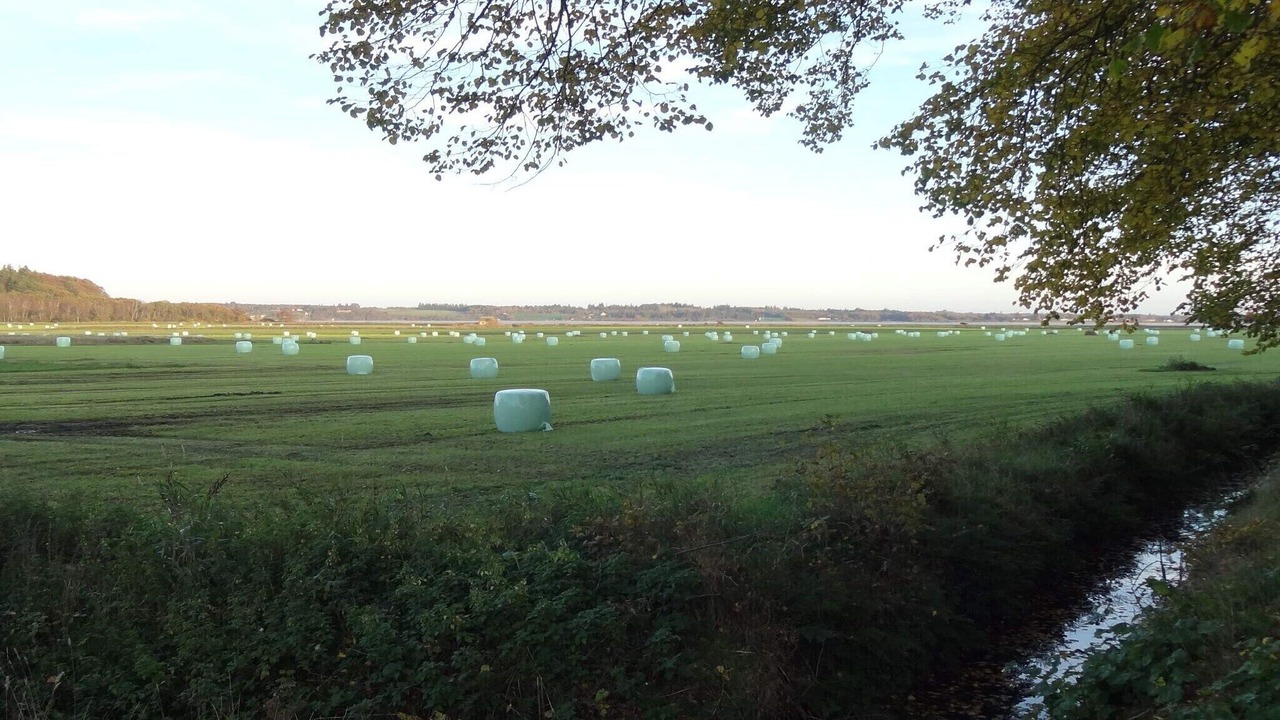 Photo of Others in Sillerslev