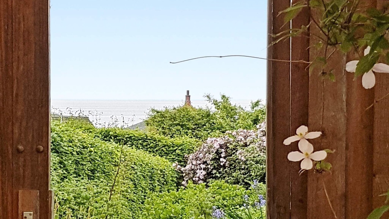 Photo of Outdoor in Hvidbjerg Strand