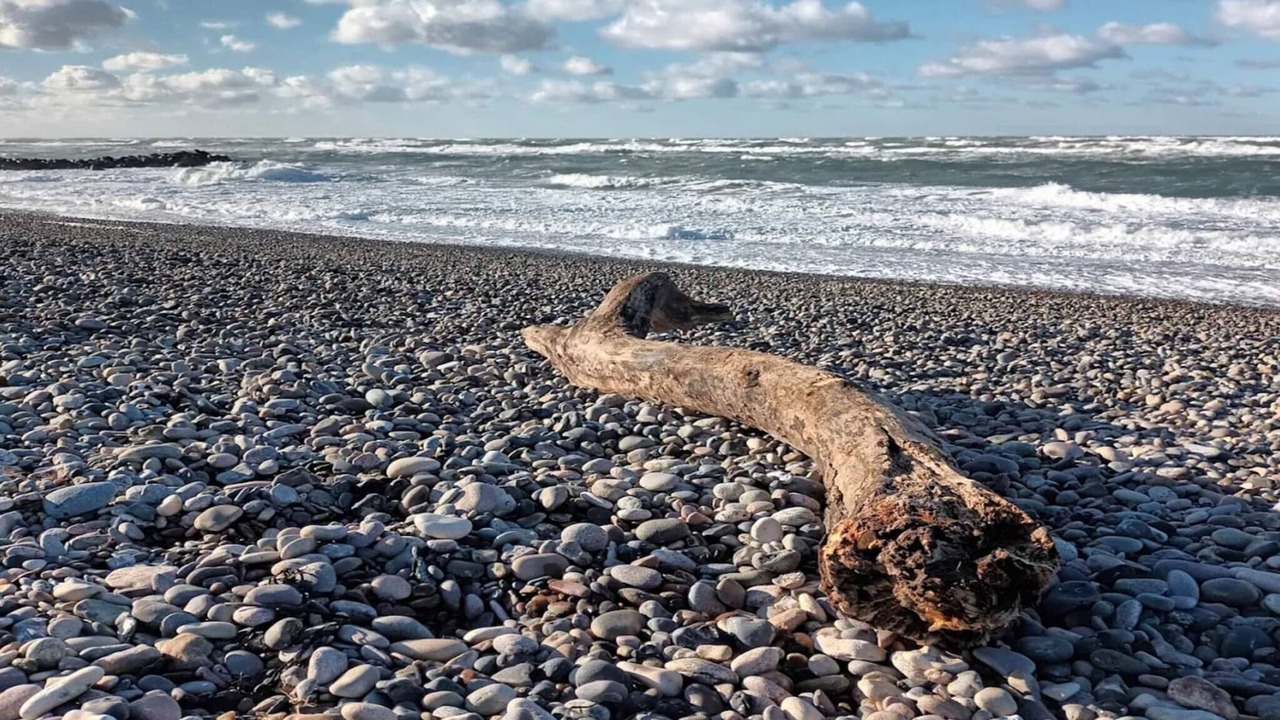 Photo of Others in Skagen