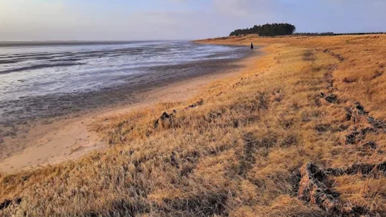 Photo of Others in Sønderstrand