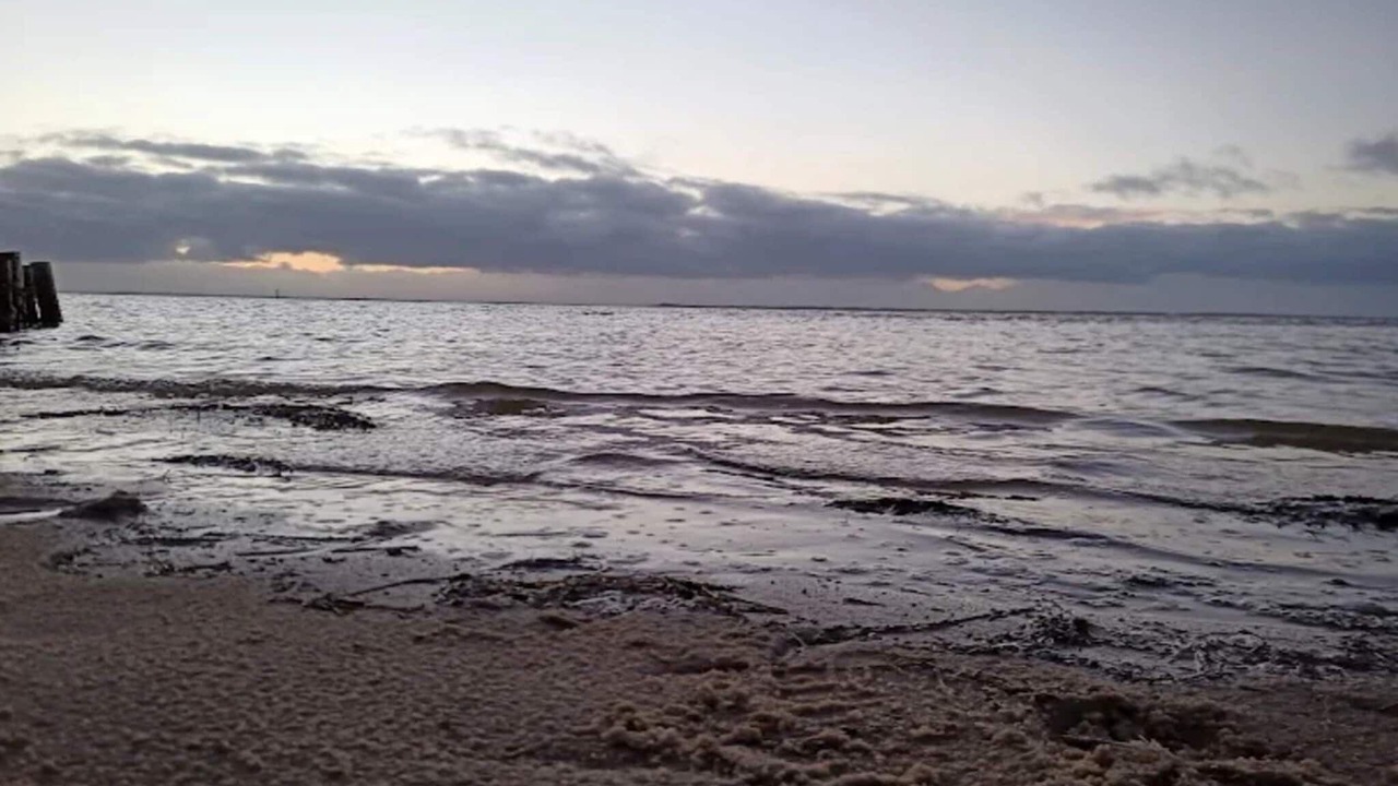 Photo of Others in Sønderstrand