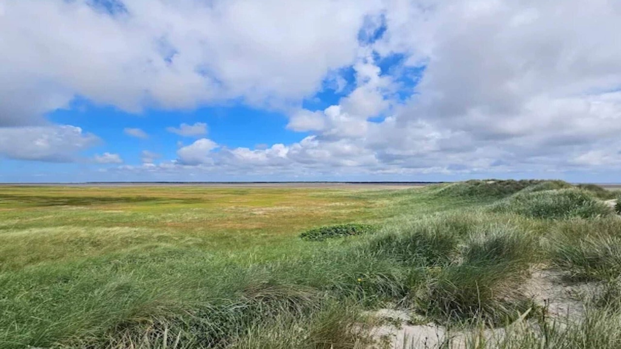 Photo of Others in Sønderstrand