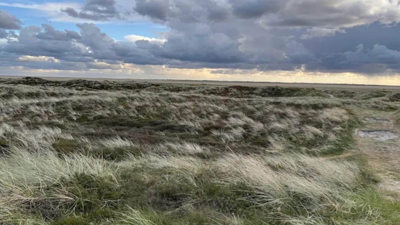 Photo of Others in Sønderstrand