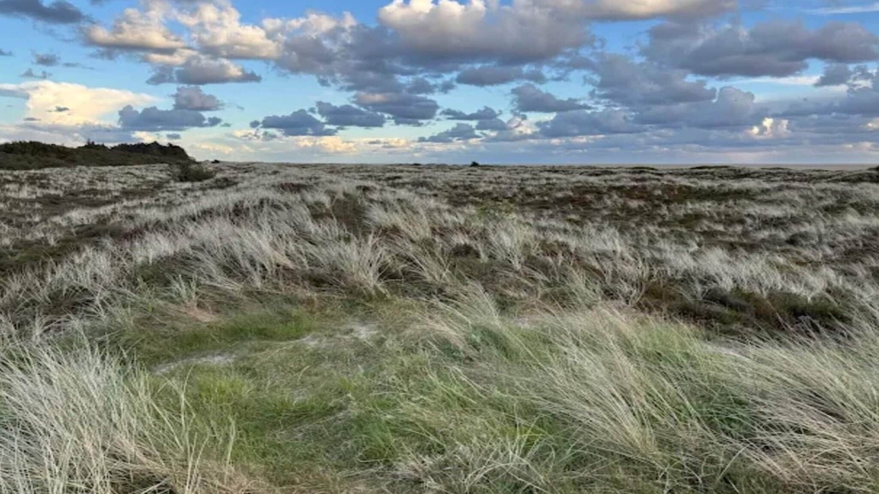 Photo of Others in Sønderstrand