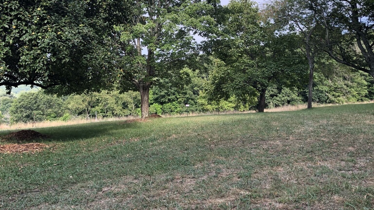 Photo of Outdoor in Gap Mills