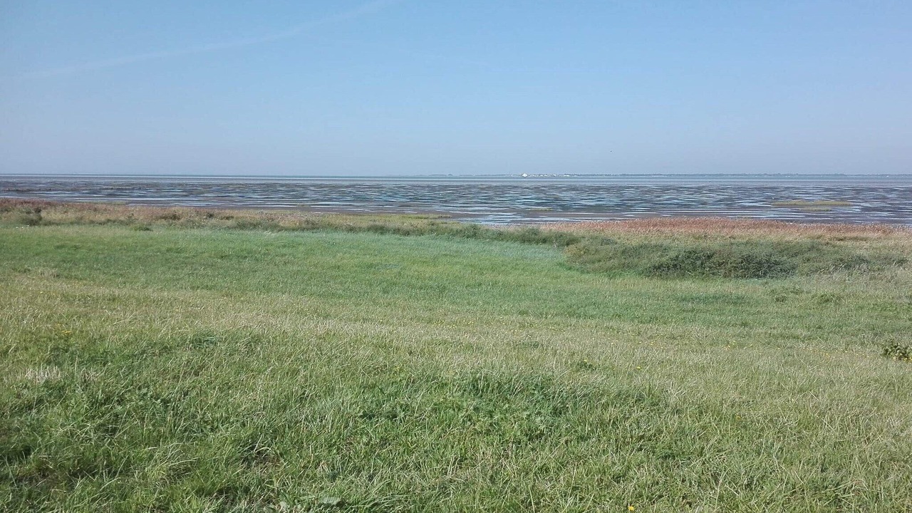 Photo of Others in Ballum