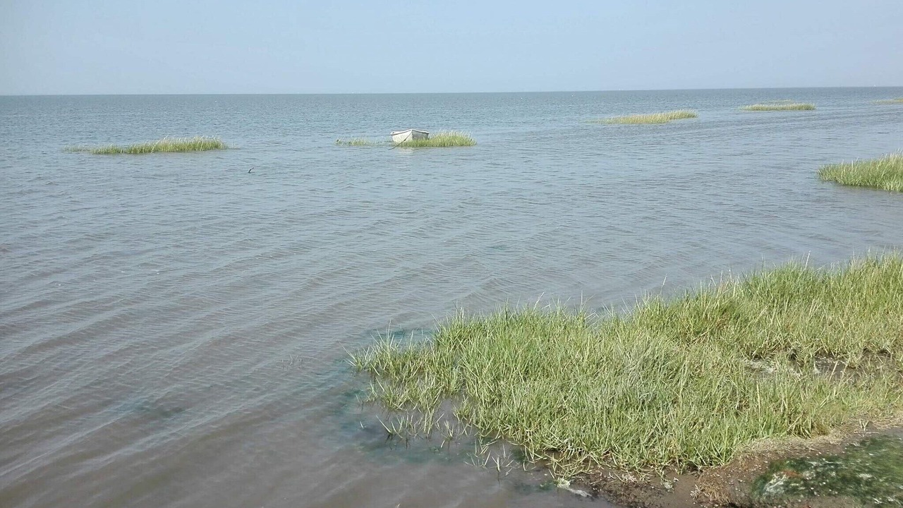 Photo of Others in Ballum