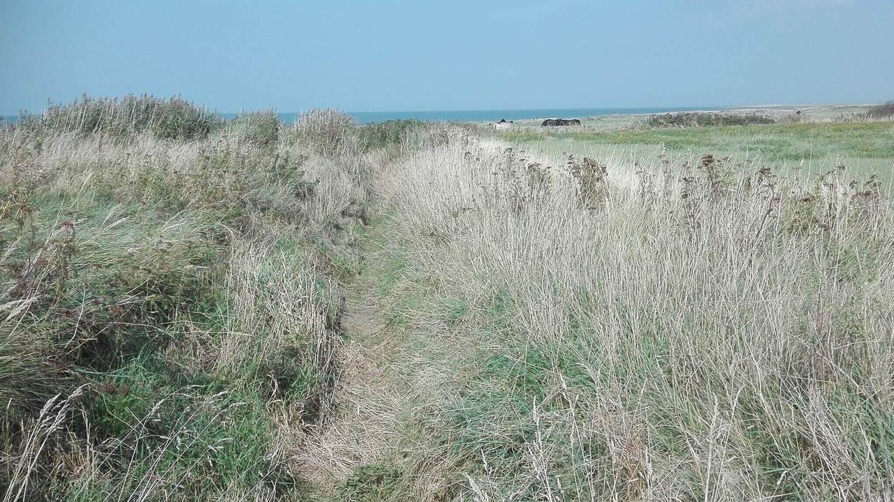 Photo of Others in Ballum