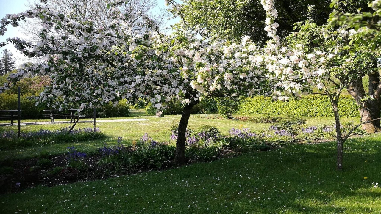 Photo of Outdoor in Sæby