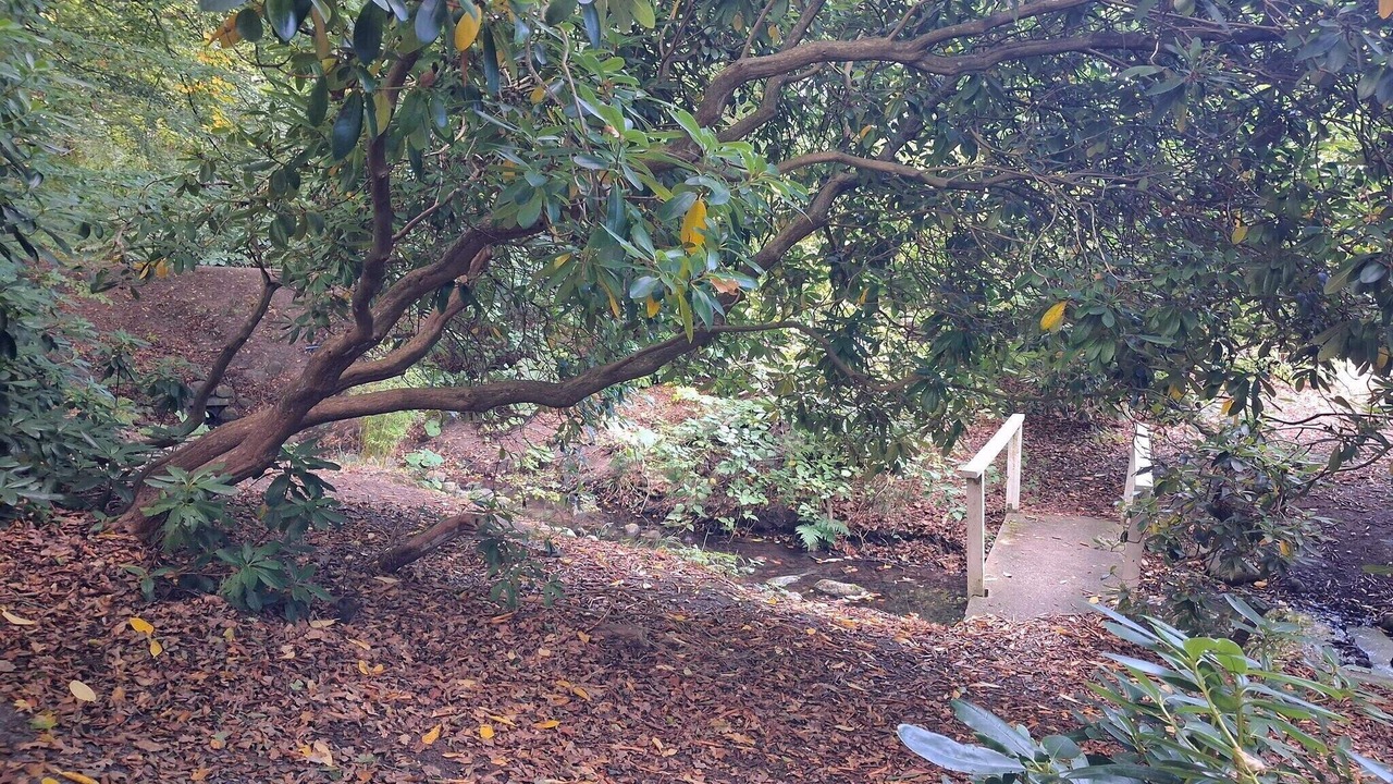 Photo of Outdoor in Sæby