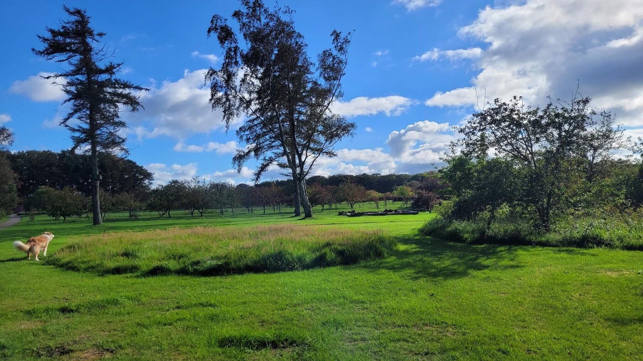 Photo of Outdoor in Sæby