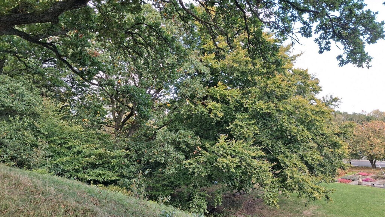 Photo of Others in Sæby