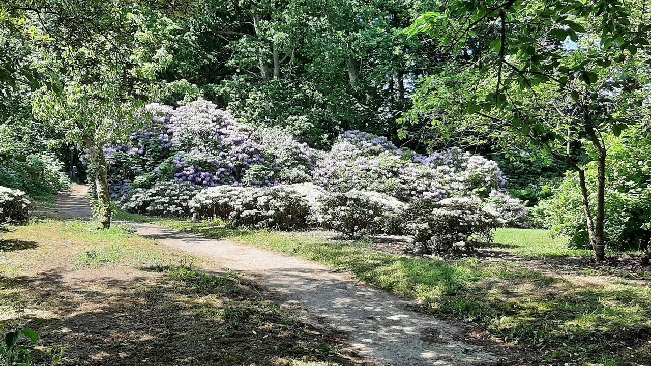 Photo of Outdoor in Sæby
