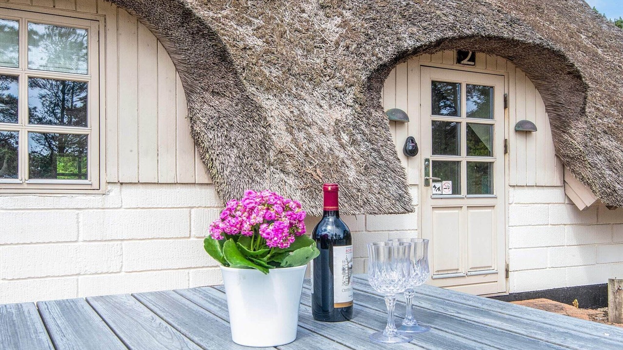 Photo of Others in Lodbjerg Hede