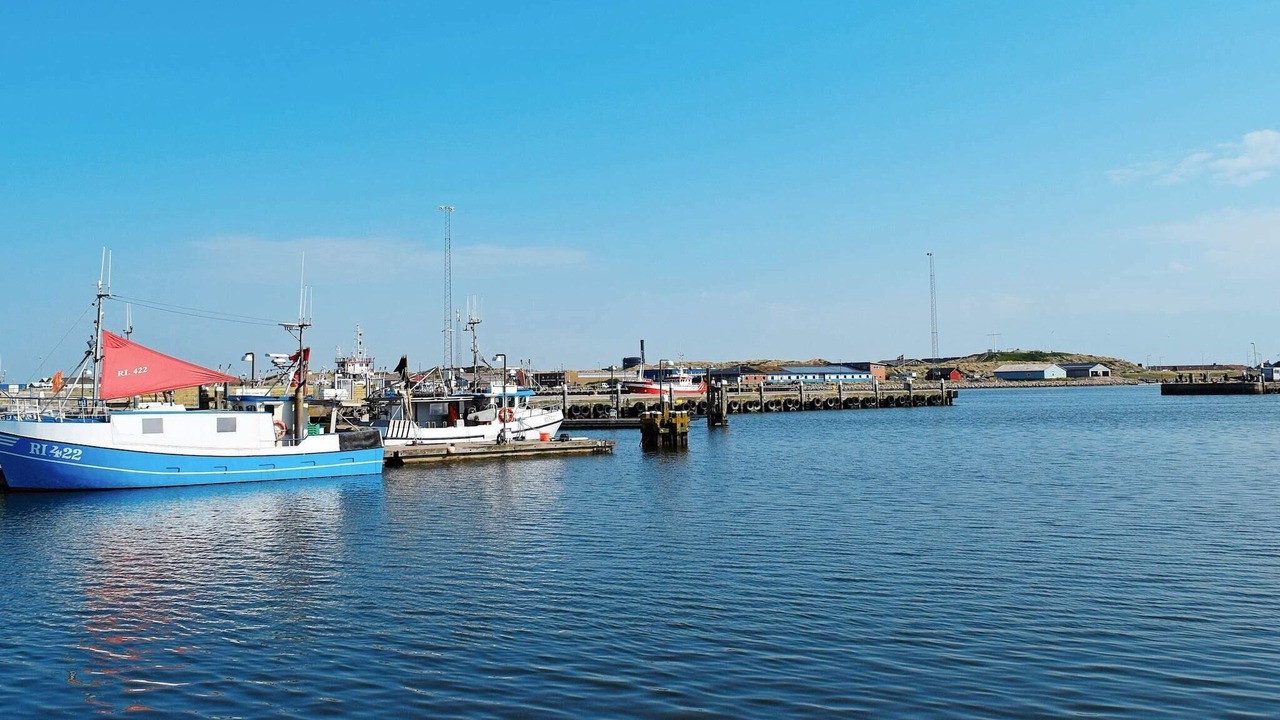 Photo of Others in Lodbjerg Hede