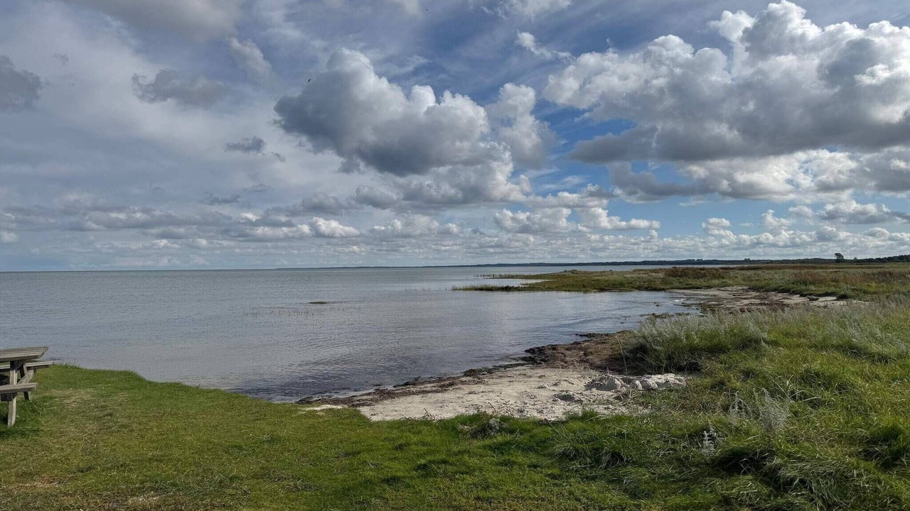 Photo of Others in Ørsted