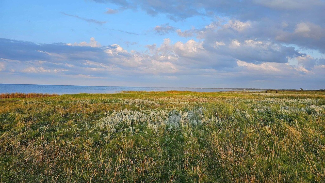 Photo of Others in Ørsted