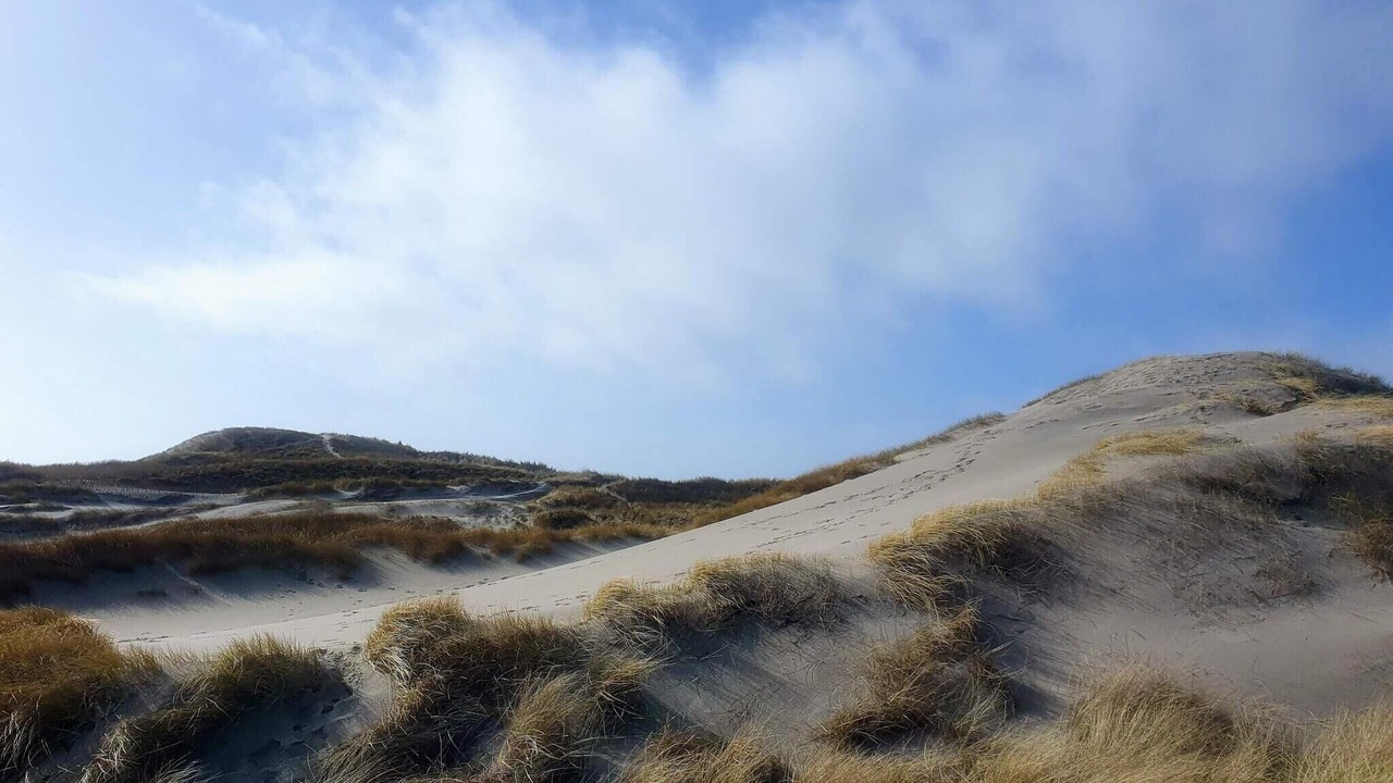 Photo of Others in Lodbjerg Hede