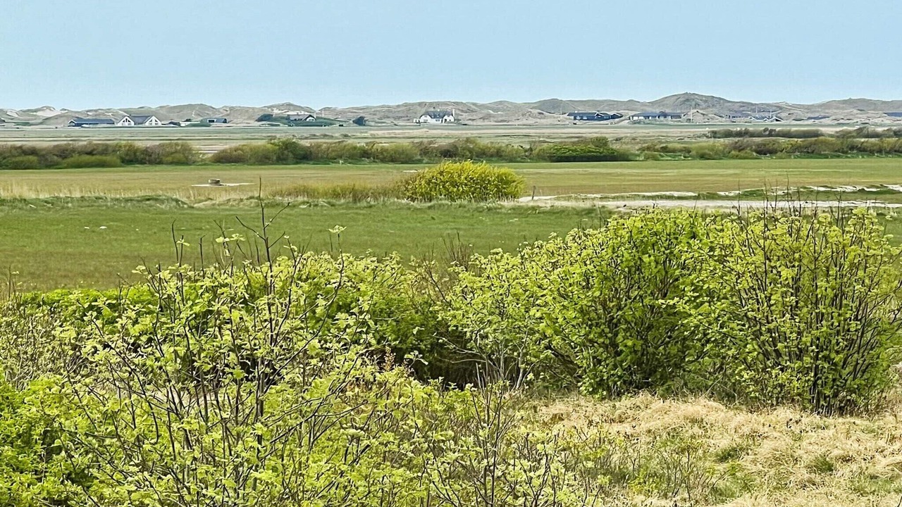 Photo of Others in Lodbjerg Hede